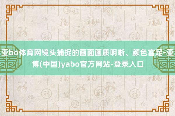 亚bo体育网镜头捕捉的画面画质明晰、颜色富足-亚博(中国)yabo官方网站-登录入口
