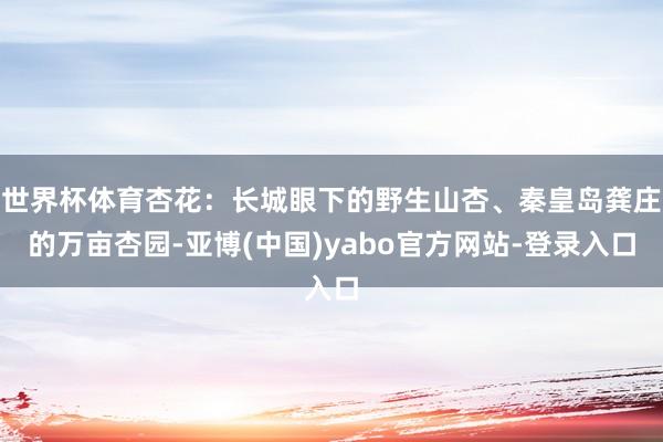 世界杯体育杏花：长城眼下的野生山杏、秦皇岛龚庄的万亩杏园-亚博(中国)yabo官方网站-登录入口