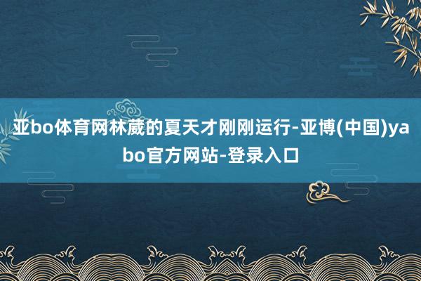 亚bo体育网林葳的夏天才刚刚运行-亚博(中国)yabo官方网站-登录入口