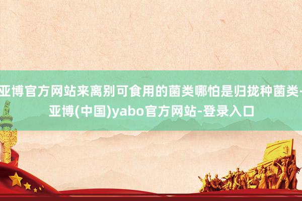 亚博官方网站来离别可食用的菌类哪怕是归拢种菌类-亚博(中国)yabo官方网站-登录入口