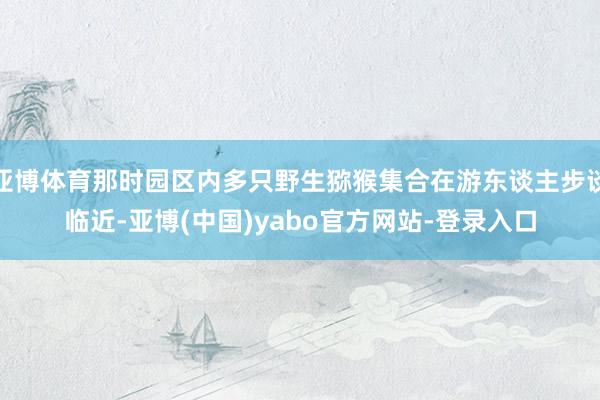 亚博体育那时园区内多只野生猕猴集合在游东谈主步谈临近-亚博(中国)yabo官方网站-登录入口