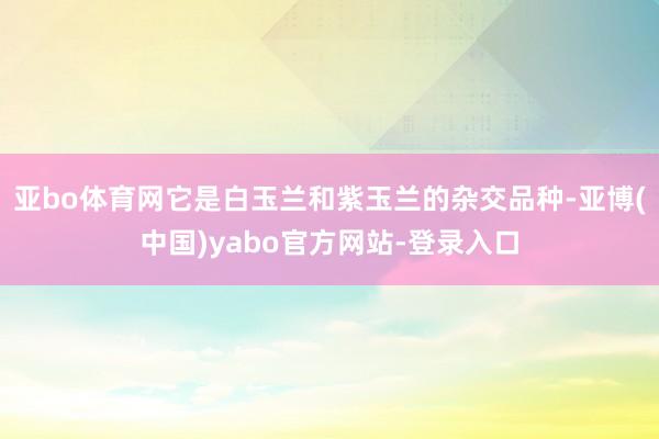 亚bo体育网它是白玉兰和紫玉兰的杂交品种-亚博(中国)yabo官方网站-登录入口
